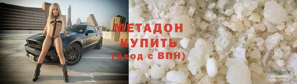 прущие грибы Белокуриха