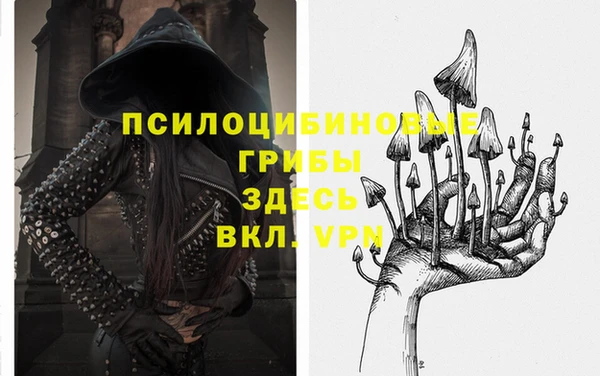 ГАЛЛЮЦИНОГЕННЫЕ ГРИБЫ Богородицк