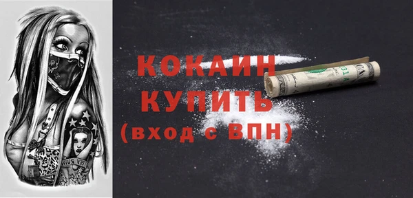 прущие грибы Белокуриха