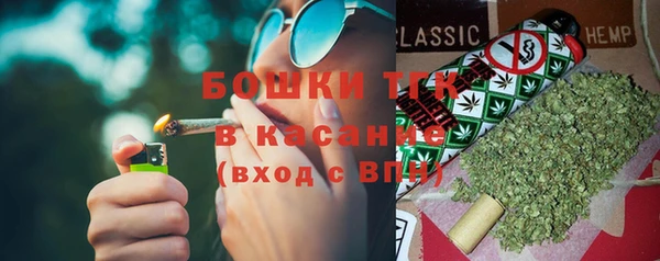 прущие грибы Белоозёрский